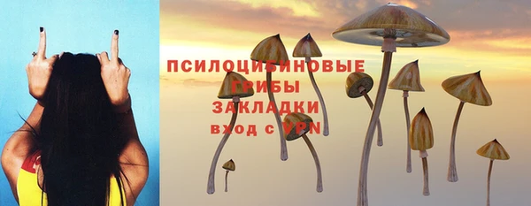 Альфа ПВП Армянск