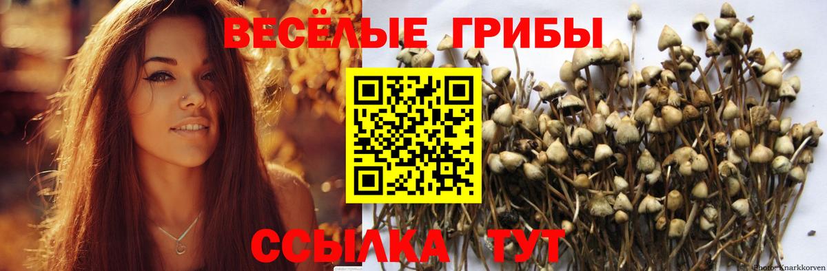 Псилоцибиновые грибы GOLDEN TEACHER Ступино